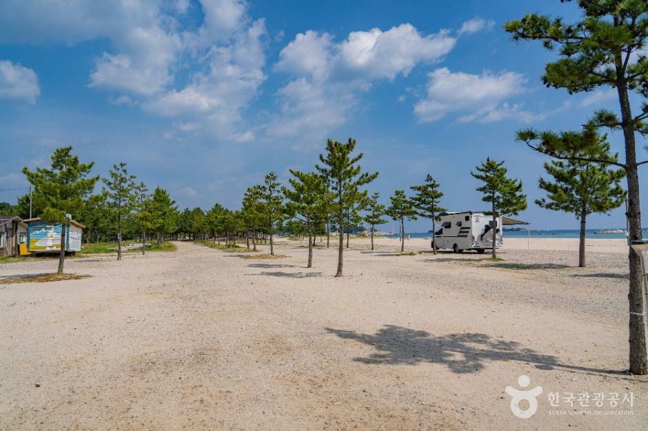 삼포해변 여행 추천 - 메고지고 삼포해변 여행 추천 - 메고지고