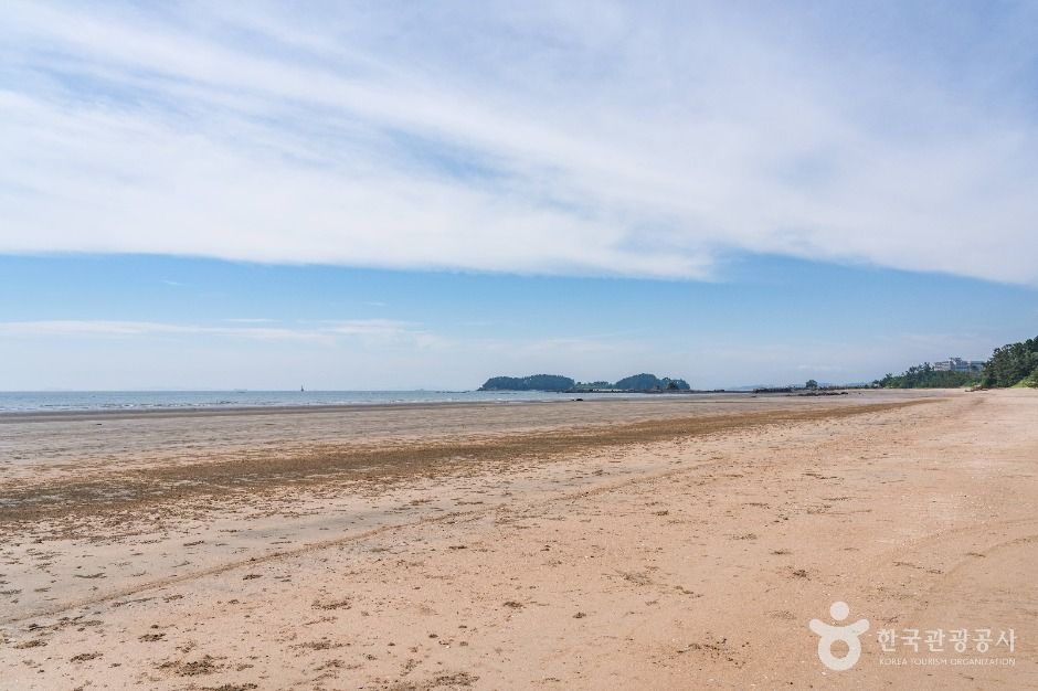 독산해수욕장 여행 추천 - 메고지고 독산해수욕장 여행 추천 - 메고지고
