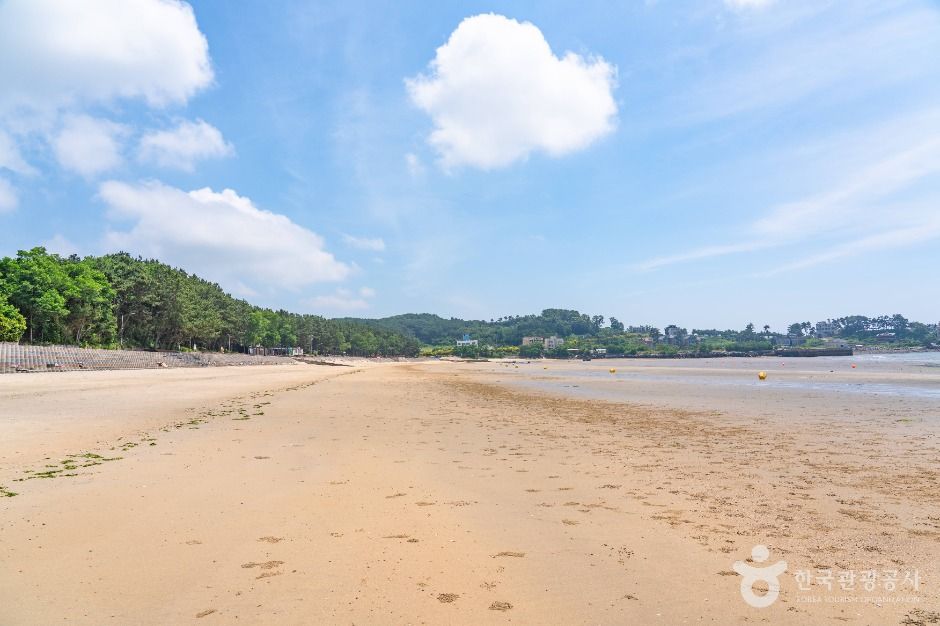 용두해수욕장 여행 추천 - 메고지고 용두해수욕장 여행 추천 - 메고지고