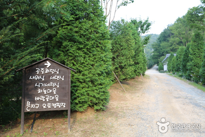 횡성자연휴양림 여행 추천 - 메고지고 횡성자연휴양림 여행 추천 - 메고지고