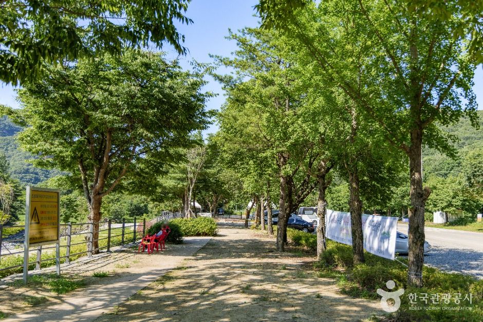 동막골유원지 여행 추천 - 메고지고 동막골유원지 여행 추천 - 메고지고