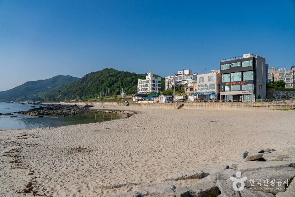 안인해변 여행 추천 - 메고지고 안인해변 여행 추천 - 메고지고