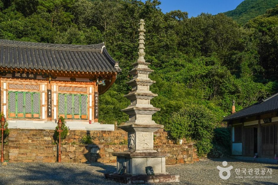 금곡사(칠곡) 여행 추천 - 메고지고 금곡사(칠곡) 여행 추천 - 메고지고