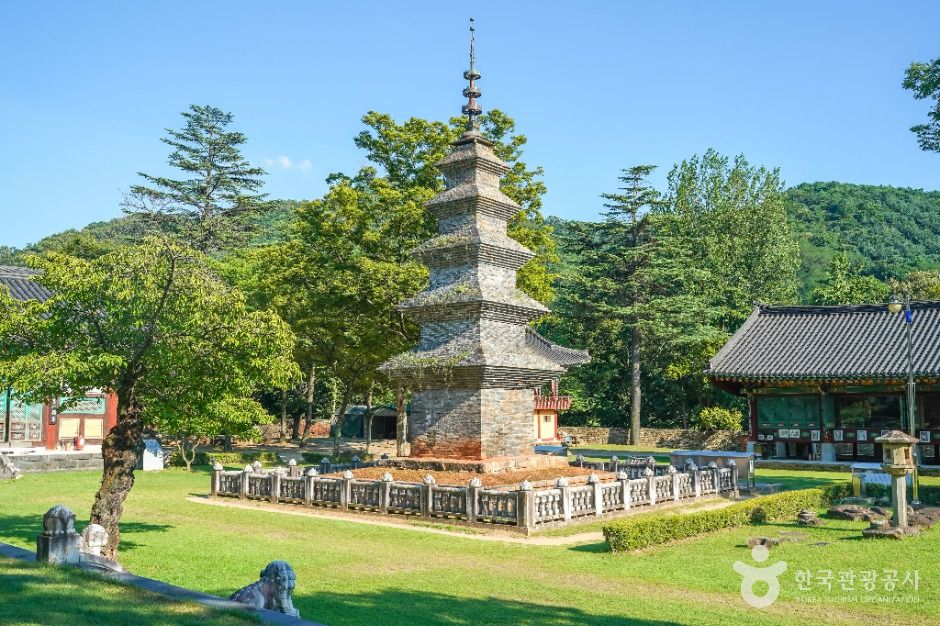 송림사(칠곡) 여행 추천 - 메고지고 송림사(칠곡) 여행 추천 - 메고지고