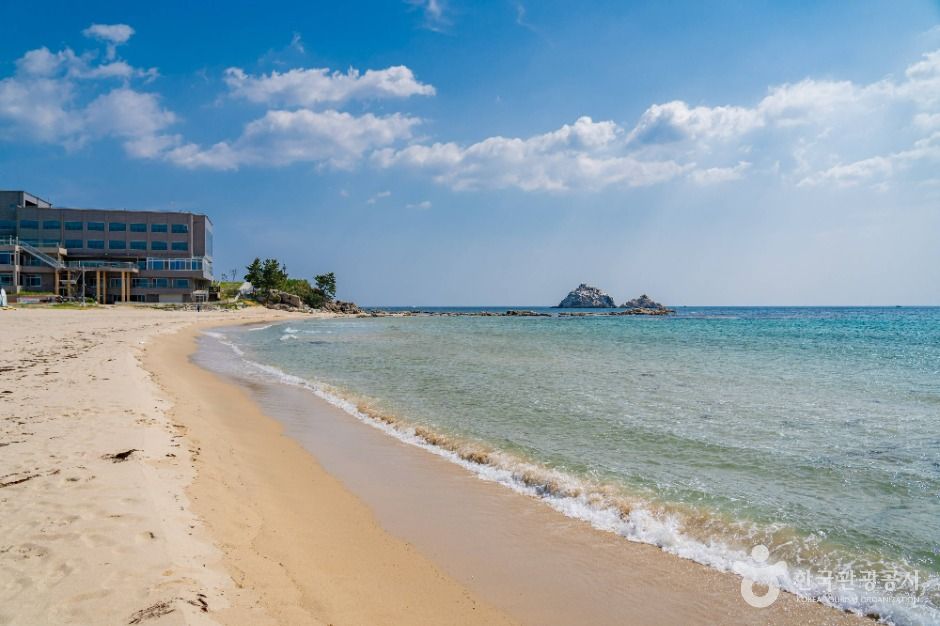 자작도해변 여행 추천 - 메고지고 자작도해변 여행 추천 - 메고지고