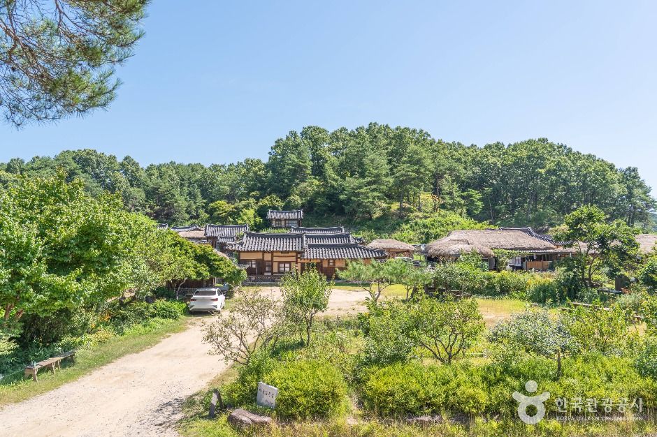 무섬마을 여행 추천 - 메고지고 무섬마을 여행 추천 - 메고지고