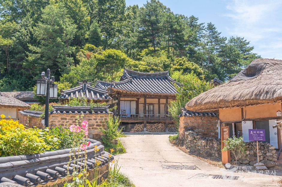 무섬마을 여행 추천 - 메고지고 무섬마을 여행 추천 - 메고지고