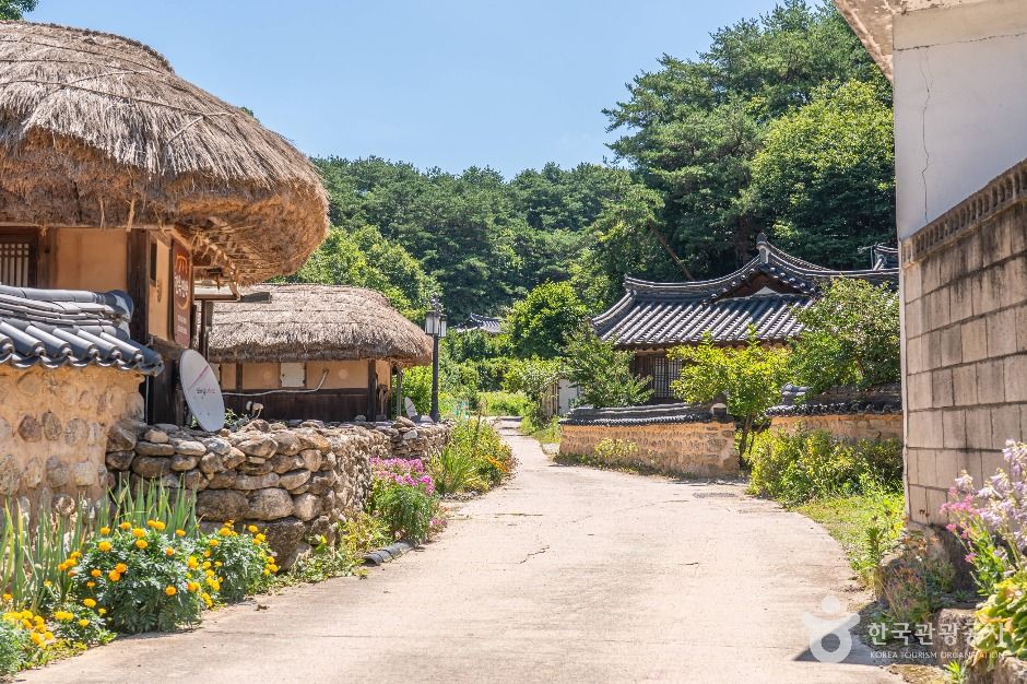무섬마을 여행 추천 - 메고지고 무섬마을 여행 추천 - 메고지고
