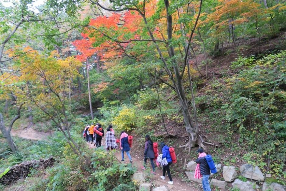 국립대관령치유의숲 여행 추천 - 메고지고