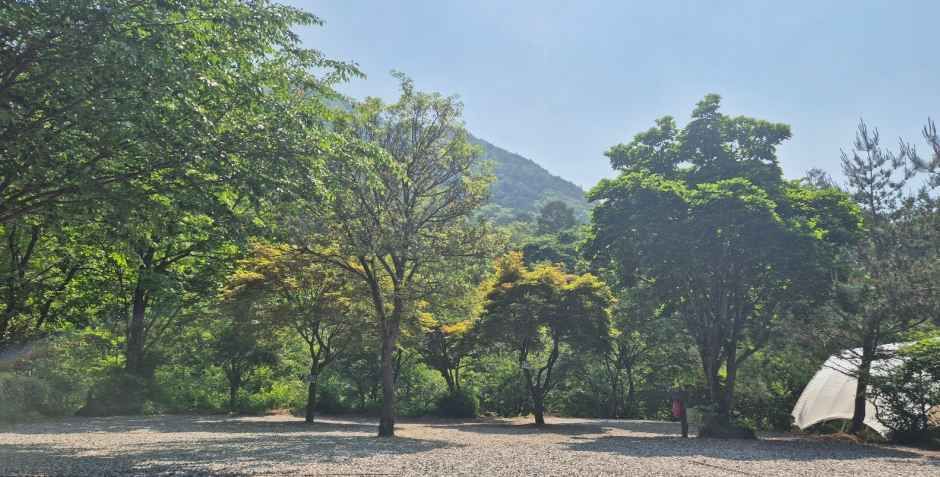 덕동골캠핑장 여행 추천 - 메고지고