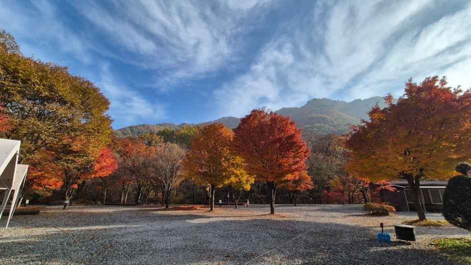 덕동골캠핑장 여행 추천 - 메고지고