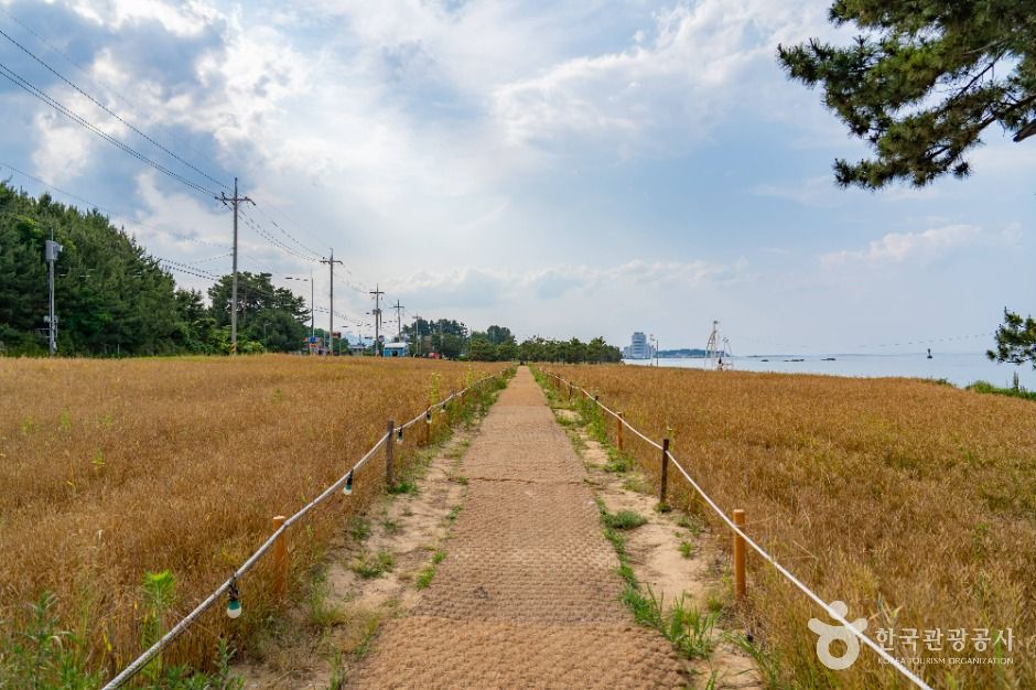 순긋해변 여행 추천 - 메고지고 순긋해변 여행 추천 - 메고지고