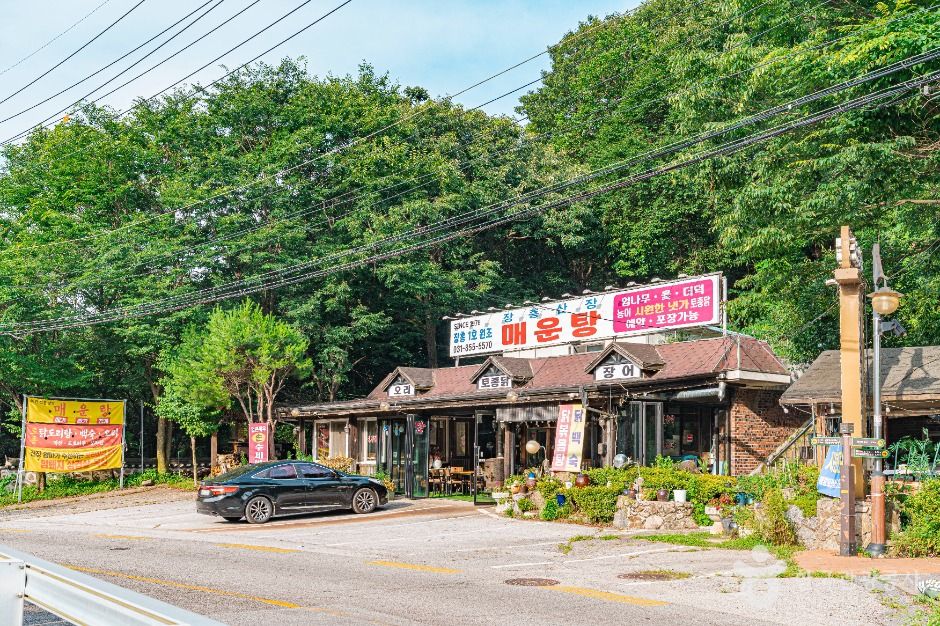 장흥관광지 한식마을 여행 추천 - 메고지고 장흥관광지 한식마을 여행 추천 - 메고지고