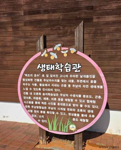 주남저수지 생태학습관 여행 추천 - 메고지고 주남저수지 생태학습관 여행 추천 - 메고지고