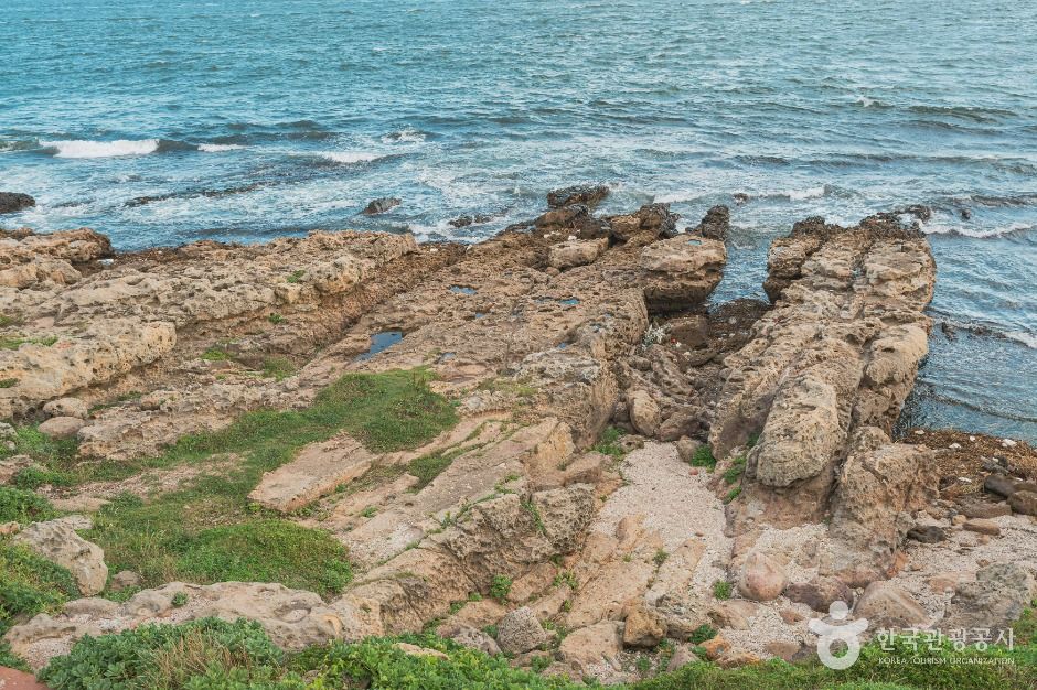 슬도 여행 추천 - 메고지고 슬도 여행 추천 - 메고지고