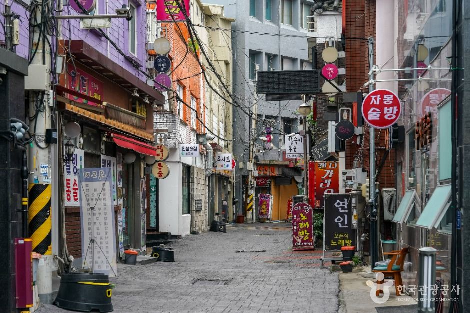 오동동 통술거리 여행 추천 - 메고지고