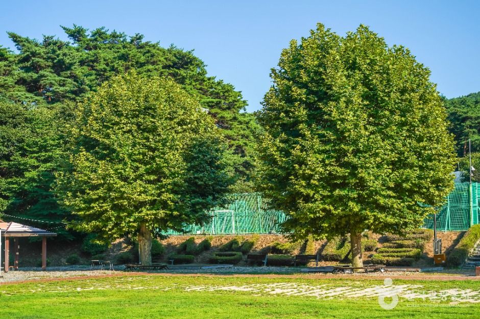 가산산성마을 여행 추천 - 메고지고 가산산성마을 여행 추천 - 메고지고