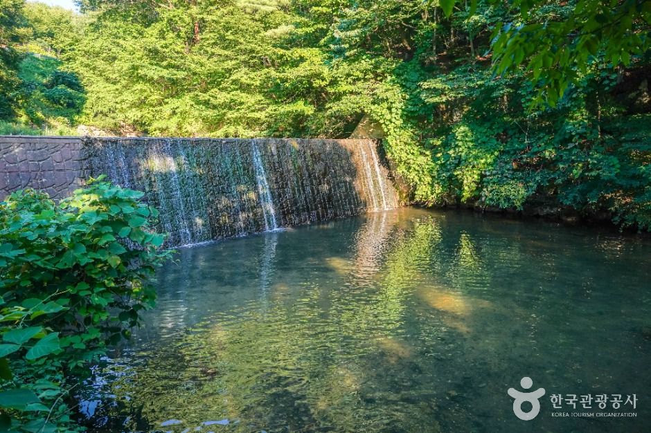 금화계곡 여행 추천 - 메고지고 금화계곡 여행 추천 - 메고지고