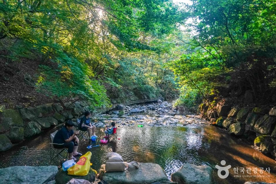 금화계곡 여행 추천 - 메고지고 금화계곡 여행 추천 - 메고지고