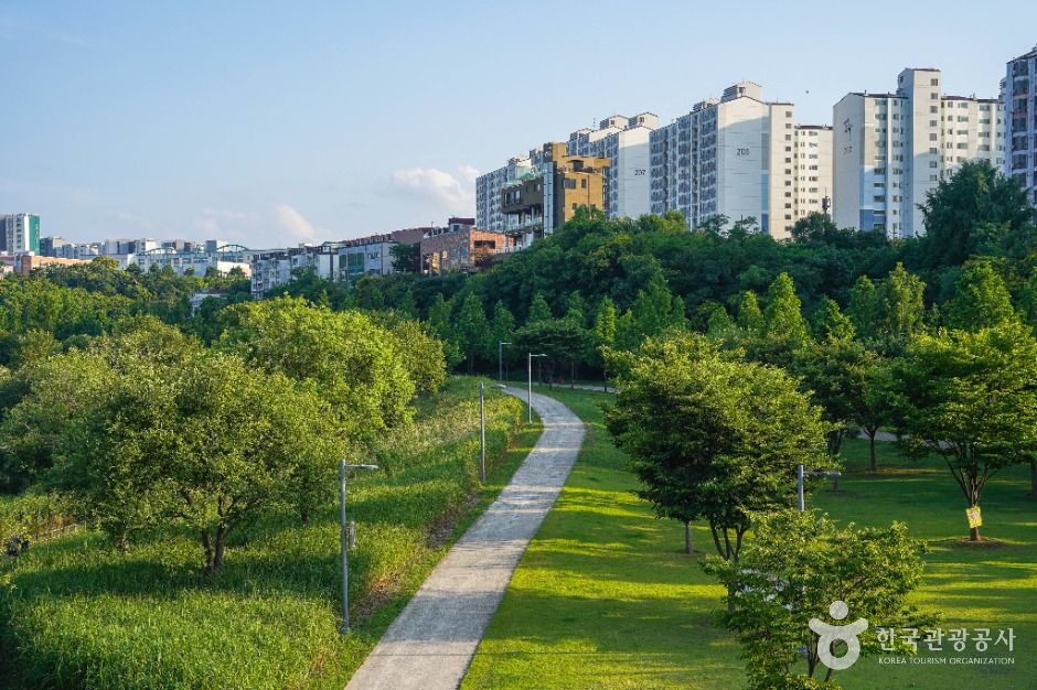 공항교강변공원 여행 추천 - 메고지고 공항교강변공원 여행 추천 - 메고지고