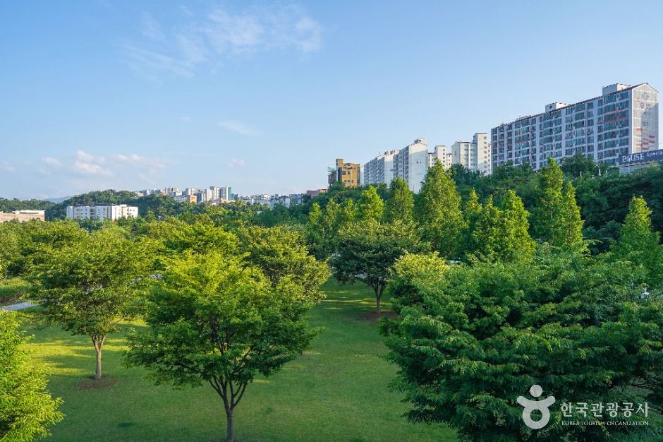 공항교강변공원 여행 추천 - 메고지고 공항교강변공원 여행 추천 - 메고지고