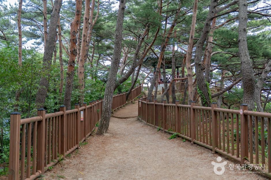 하조대 여행 추천 - 메고지고 하조대 여행 추천 - 메고지고