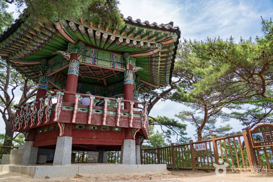 하조대 여행 추천 - 메고지고 하조대 여행 추천 - 메고지고