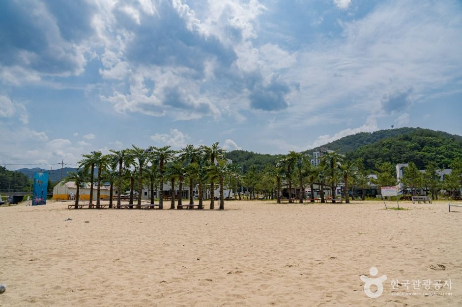 기사문해수욕장 여행 추천 - 메고지고