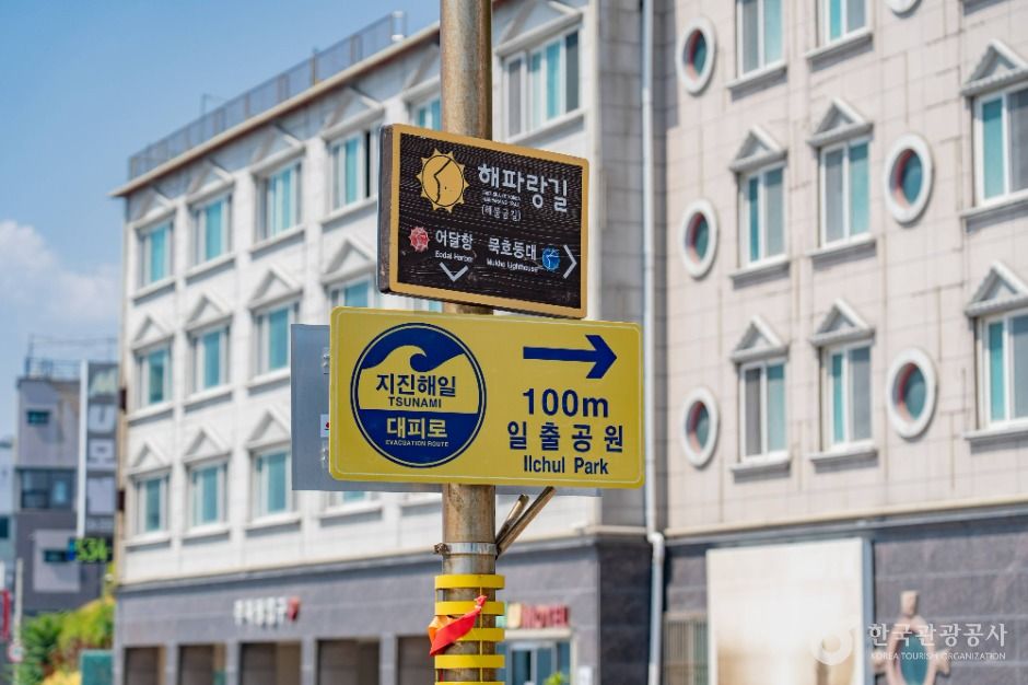 일출공원 여행 추천 - 메고지고 일출공원 여행 추천 - 메고지고