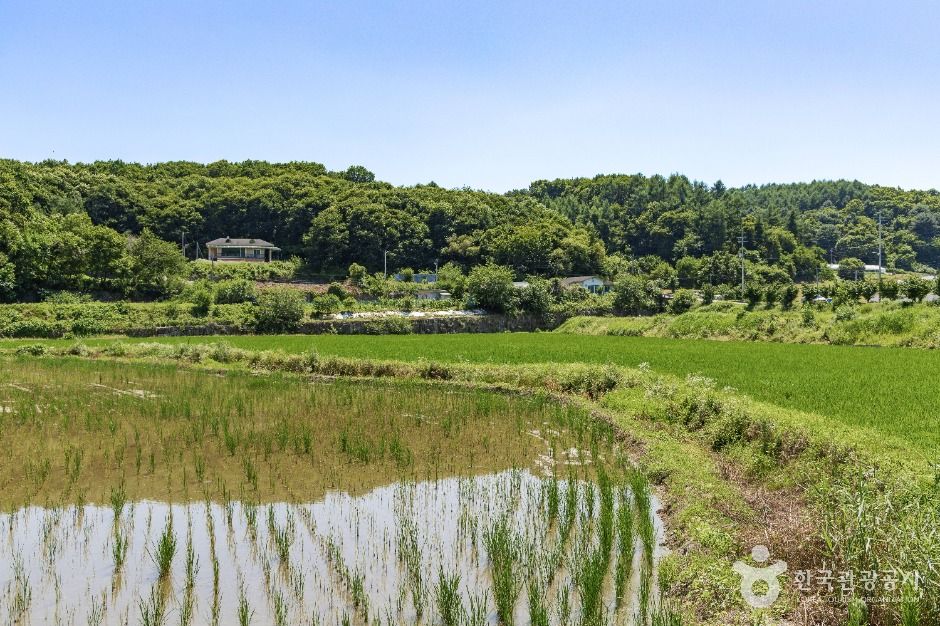 연천 나룻배마을 여행 추천 - 메고지고