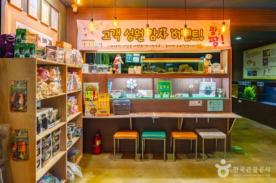 강릉생태체험박물관 자연아놀자 여행 추천 - 메고지고