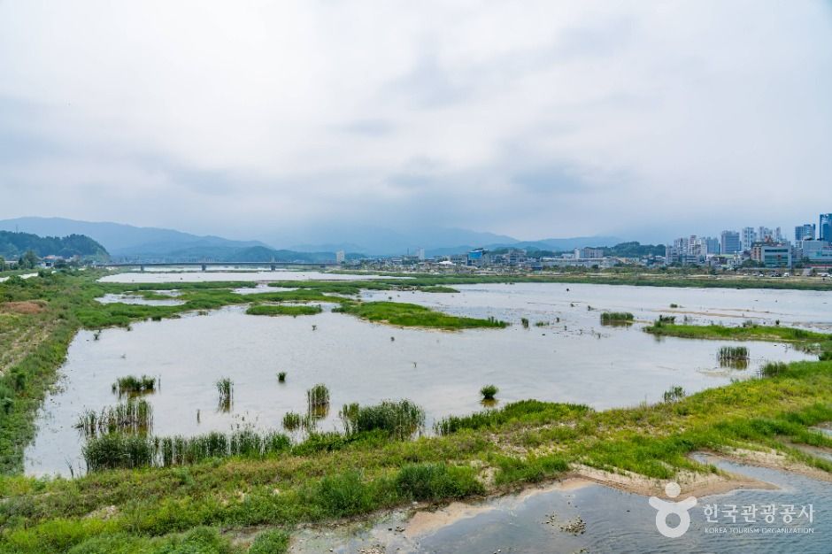 남대천(양양) 여행 추천 - 메고지고 남대천(양양) 여행 추천 - 메고지고