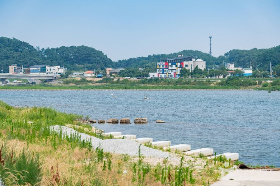 남대천(양양) 여행 추천 - 메고지고 남대천(양양) 여행 추천 - 메고지고
