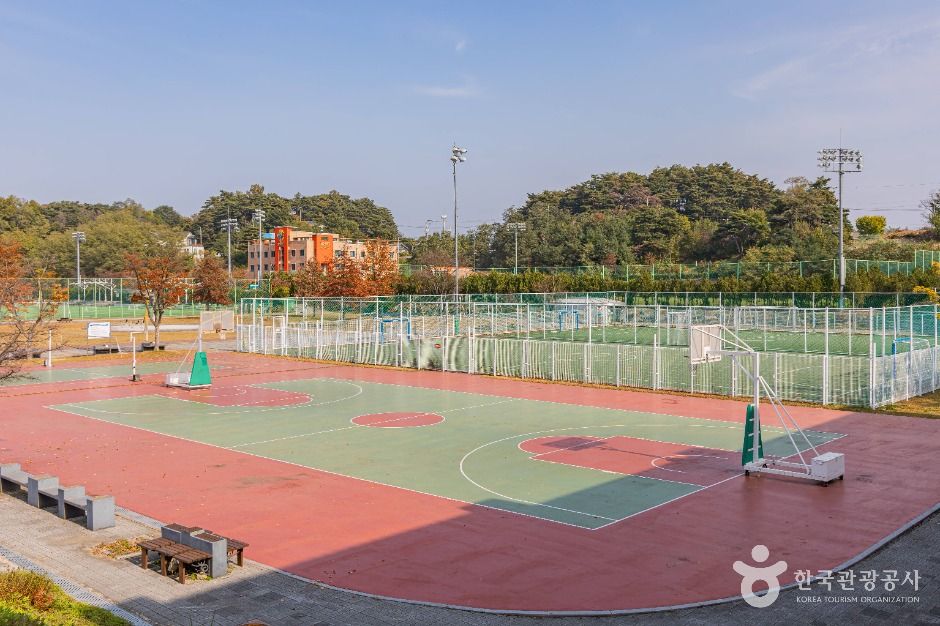 강남축구공원 여행 추천 - 메고지고 강남축구공원 여행 추천 - 메고지고