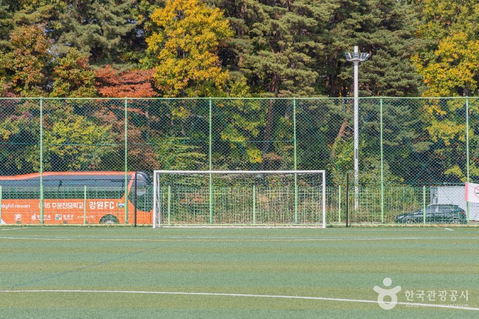 강남축구공원 여행 추천 - 메고지고 강남축구공원 여행 추천 - 메고지고