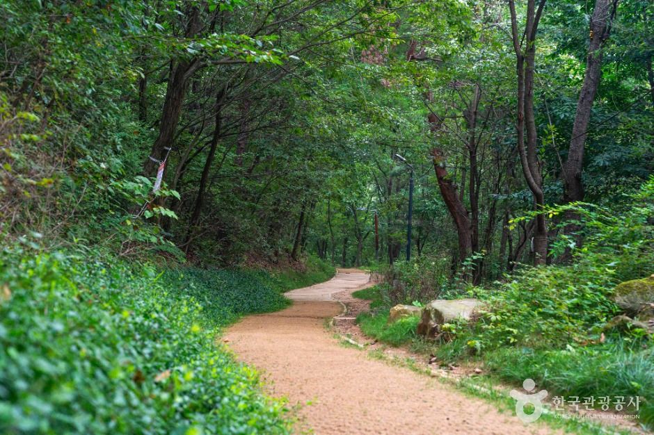 삼성산성지 여행 추천 - 메고지고 삼성산성지 여행 추천 - 메고지고