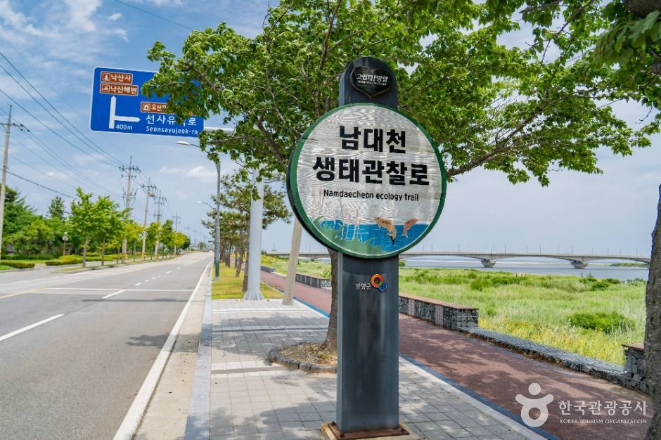 남대천 생태관찰로 여행 추천 - 메고지고 남대천 생태관찰로 여행 추천 - 메고지고