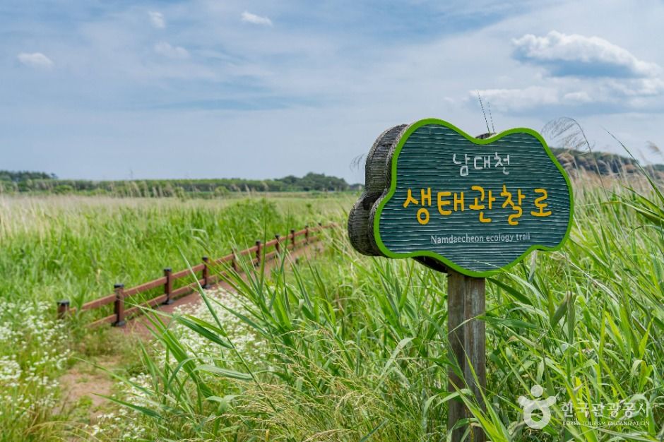 남대천 생태관찰로 여행 추천 - 메고지고 남대천 생태관찰로 여행 추천 - 메고지고