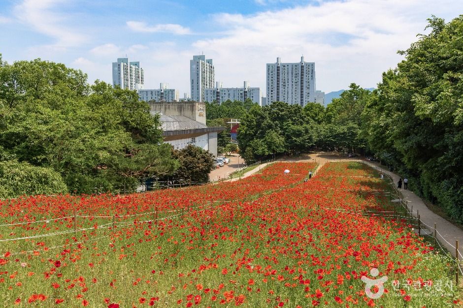 올림픽공원 들꽃마루 여행 추천 - 메고지고 올림픽공원 들꽃마루 여행 추천 - 메고지고
