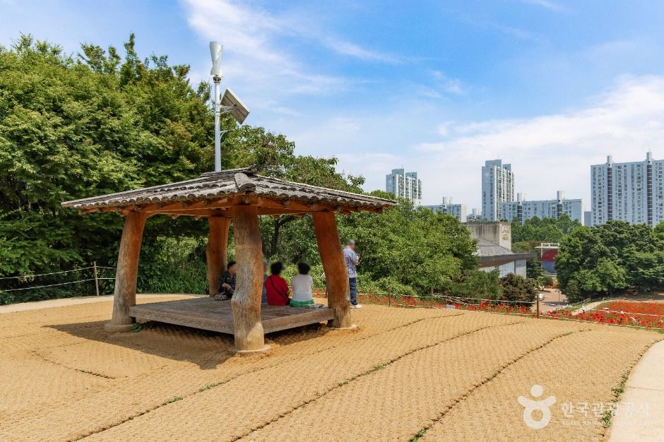 올림픽공원 들꽃마루 여행 추천 - 메고지고 올림픽공원 들꽃마루 여행 추천 - 메고지고