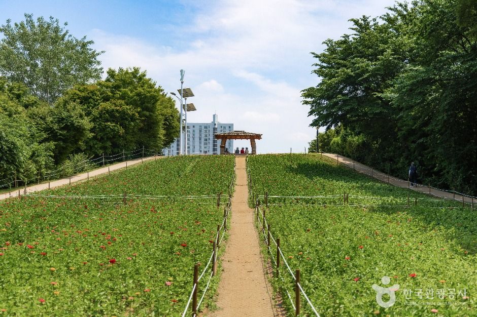 올림픽공원 들꽃마루 여행 추천 - 메고지고 올림픽공원 들꽃마루 여행 추천 - 메고지고