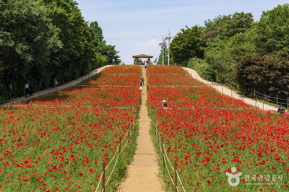 올림픽공원 들꽃마루 여행 추천 - 메고지고 올림픽공원 들꽃마루 여행 추천 - 메고지고