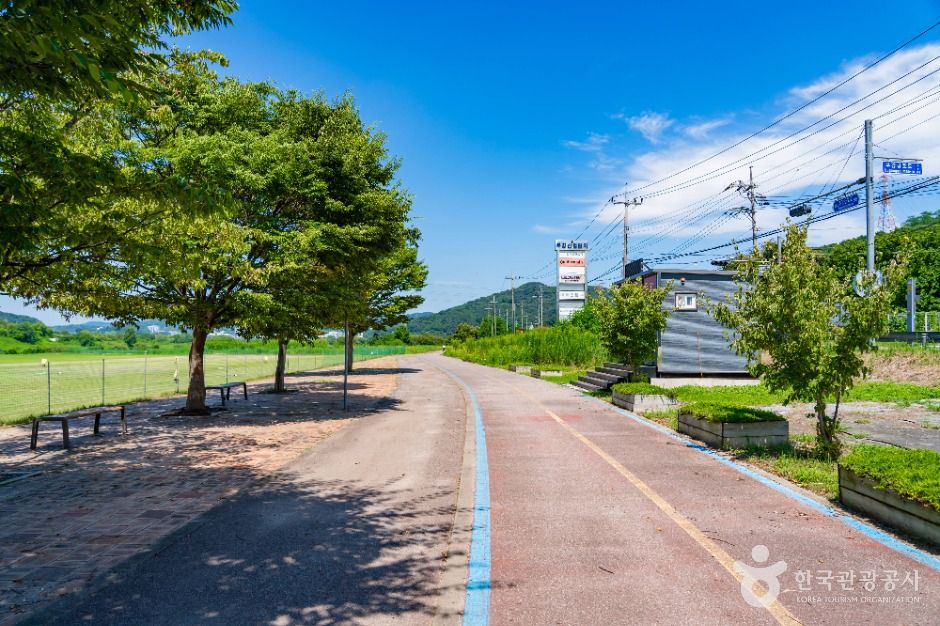 부용체육공원 여행 추천 - 메고지고 부용체육공원 여행 추천 - 메고지고