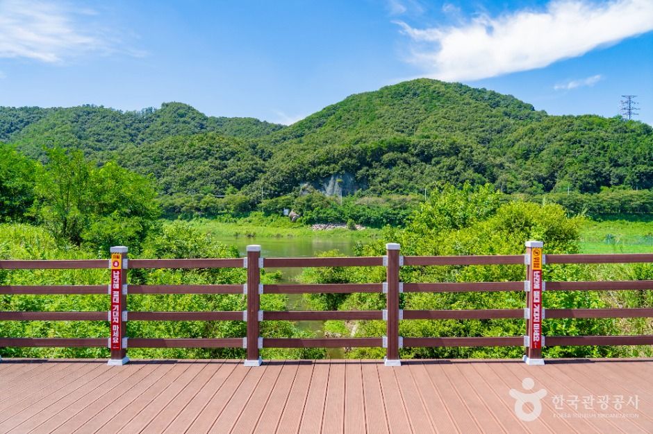 부용체육공원 여행 추천 - 메고지고 부용체육공원 여행 추천 - 메고지고