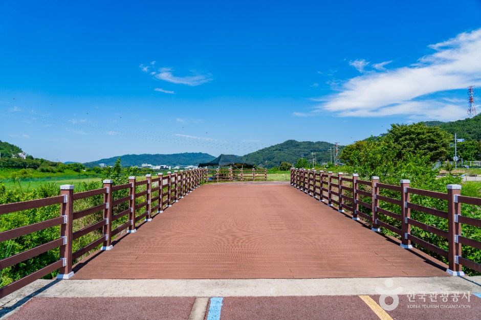 부용체육공원 여행 추천 - 메고지고 부용체육공원 여행 추천 - 메고지고