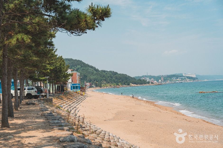 남호해수욕장 여행 추천 - 메고지고