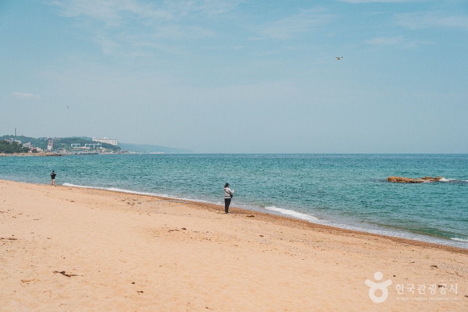 남호해수욕장 여행 추천 - 메고지고
