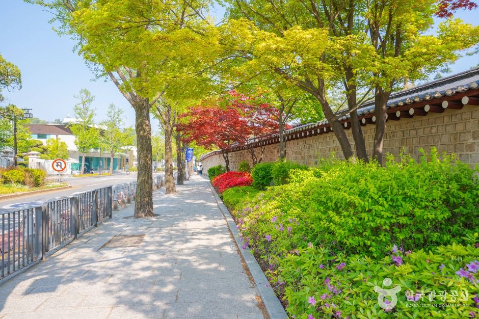 청와대 앞길 여행 추천 - 메고지고 청와대 앞길 여행 추천 - 메고지고