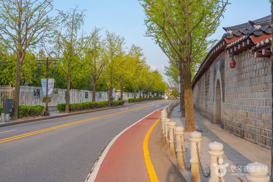 청와대 앞길 여행 추천 - 메고지고 청와대 앞길 여행 추천 - 메고지고