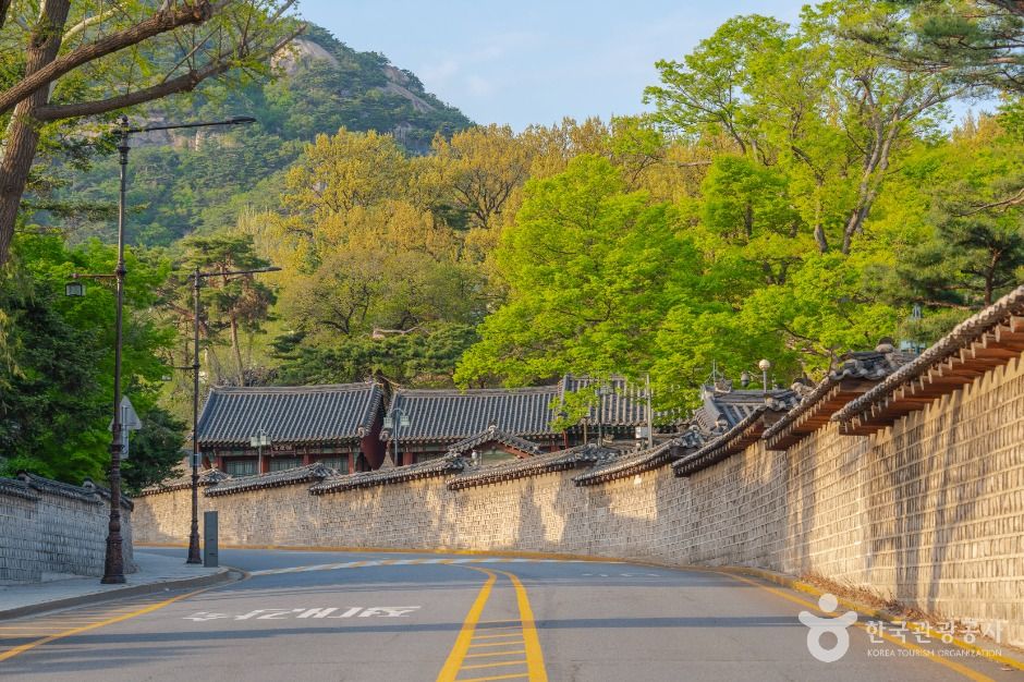 청와대 앞길 여행 추천 - 메고지고 청와대 앞길 여행 추천 - 메고지고